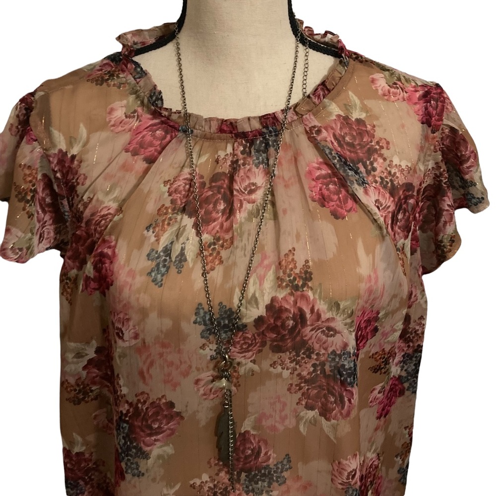 Torrid 3x Sheer Top